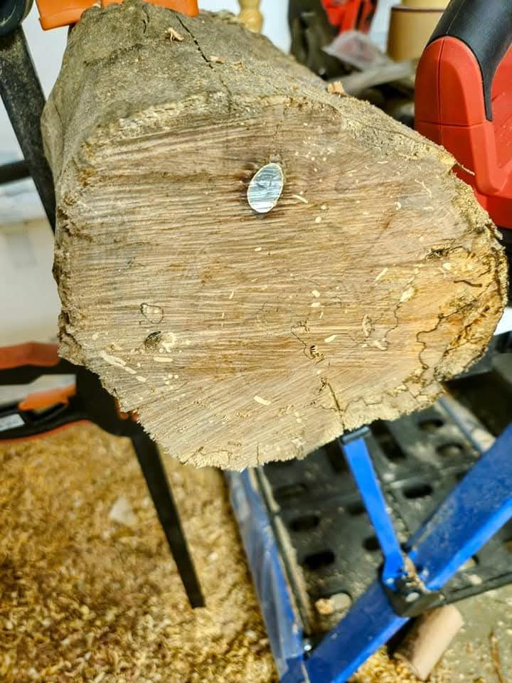 Bowl blank log section
